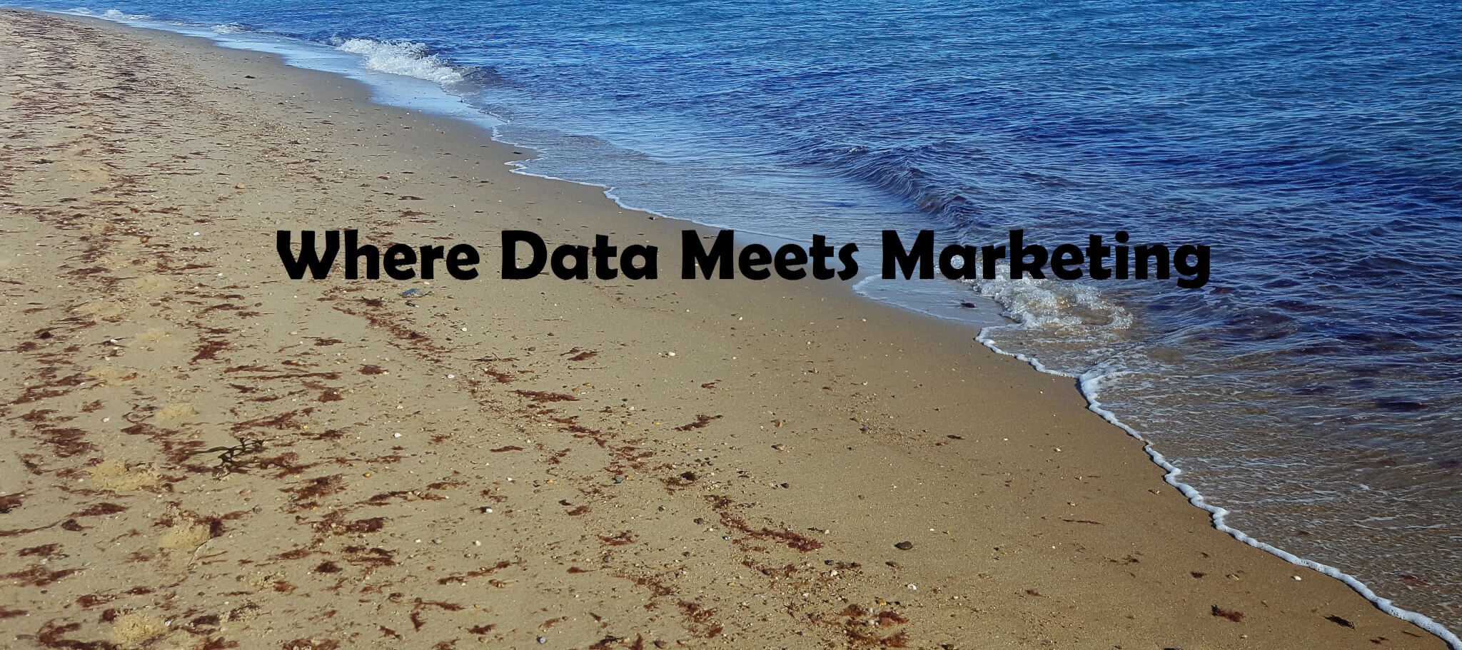 data meets marketing