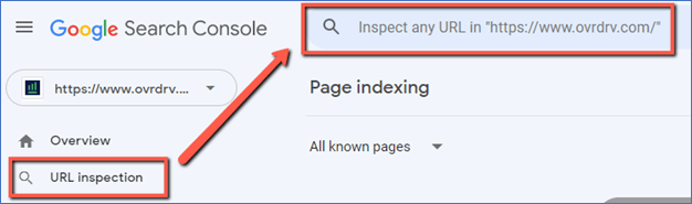 Google Search Console's "URL Inspection" feature.