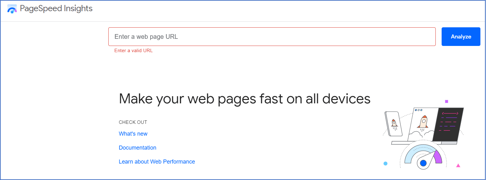 PageSpeed Insights interface.